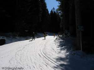 Hollyburn Eastbound-