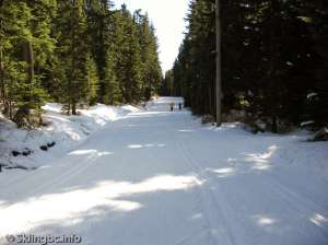 Hollyburn Eastbound-