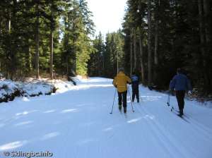 Hollyburn Eastbound-