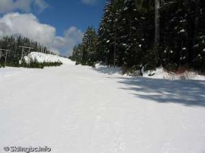 Lower Powerline North-