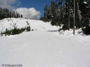 Lower Powerline North-