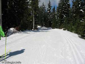 Lower Telemark North-