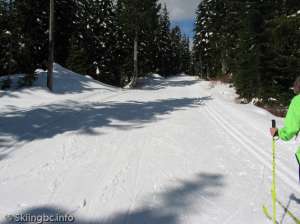 Lower Telemark North-