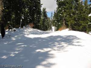 Lower Telemark North-