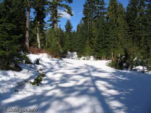 Lower Telemark North-
