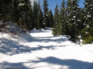 Lower Telemark North-