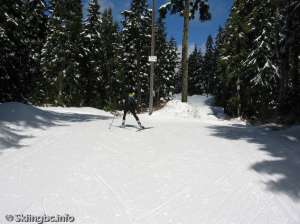 Lower Telemark North-