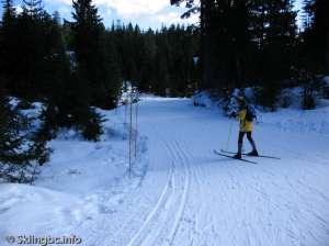 Lower Telemark South-