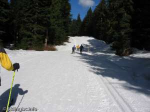 Lower Wells Grey North-