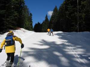 Lower Wells Grey North-