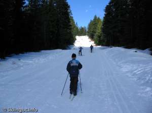 Lower Wells Grey North-