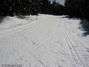 Lower Wells Grey South-