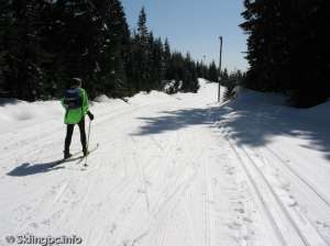 Lower Wells Grey South-