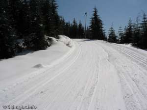 Lower Wells Grey South-