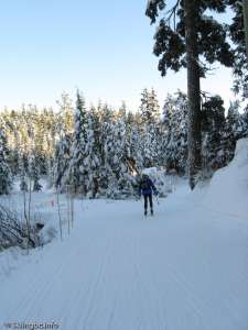 Lower Telemark-
