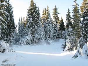 Lower Telemark-