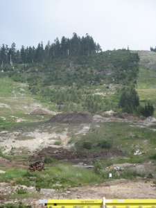 Lions Express-Liftline Construction