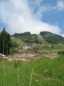 Lions Express-Liftline Construction