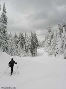 Upper Telemark (ungroomed)-