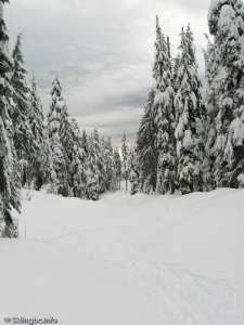 Upper Telemark (ungroomed)-