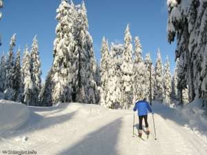 It looks good-but it isn't