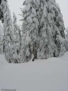 Brothers Pass-Ungroomed, Untracked but Open