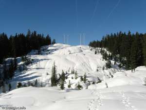 New Potential Powerline Terrain-