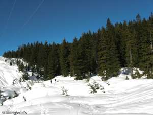 New Potential Powerline Terrain-