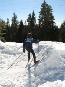 Ski Jump-