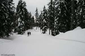 Lower Telemark-