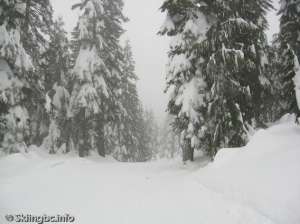 Unknown Lake-Snow melting
