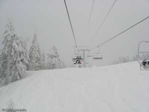 Lions Express-Upper Liftline