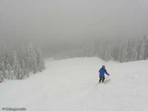 Powdery Runs-