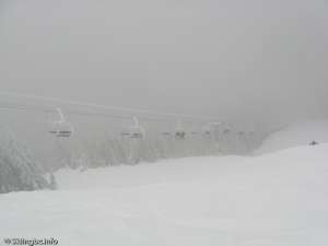 Raven Ridge Quad-Liftline