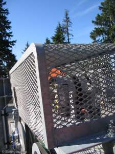 Lions Express Terminal Parts-Parts of the Lions Express