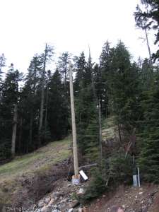 Night Lighting-On 3 Bears