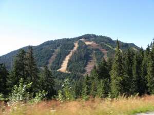 Black Mtn-New Terrain