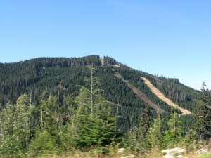 Black Mtn-New Terrain