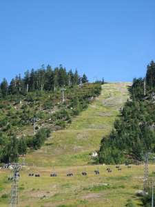 Lions Express-Up Line