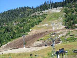 Lions Express-Towers