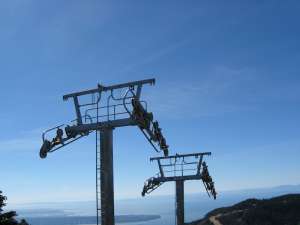 Lions Express-Towers