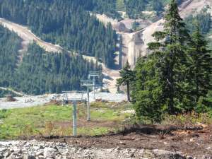 Lions Express-Down Line