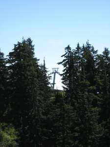 Lions Express-Towers