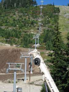 Lions Express-Up Line