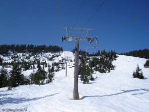 Eagle Express-Up Line