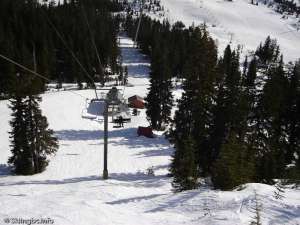 Eagle Express-Down Line