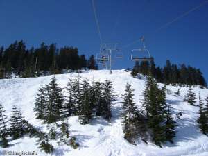 Eagle Express-Up Line