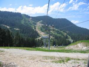 Easy Rider-Down Line