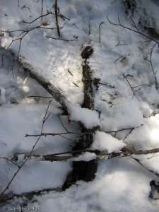 Hollyburn Chairlift-Restraint Bar?