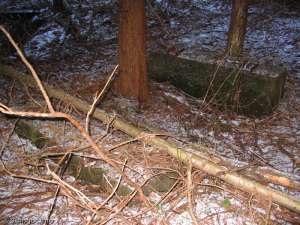 Hollyburn Chairlift-Foundation for Tower